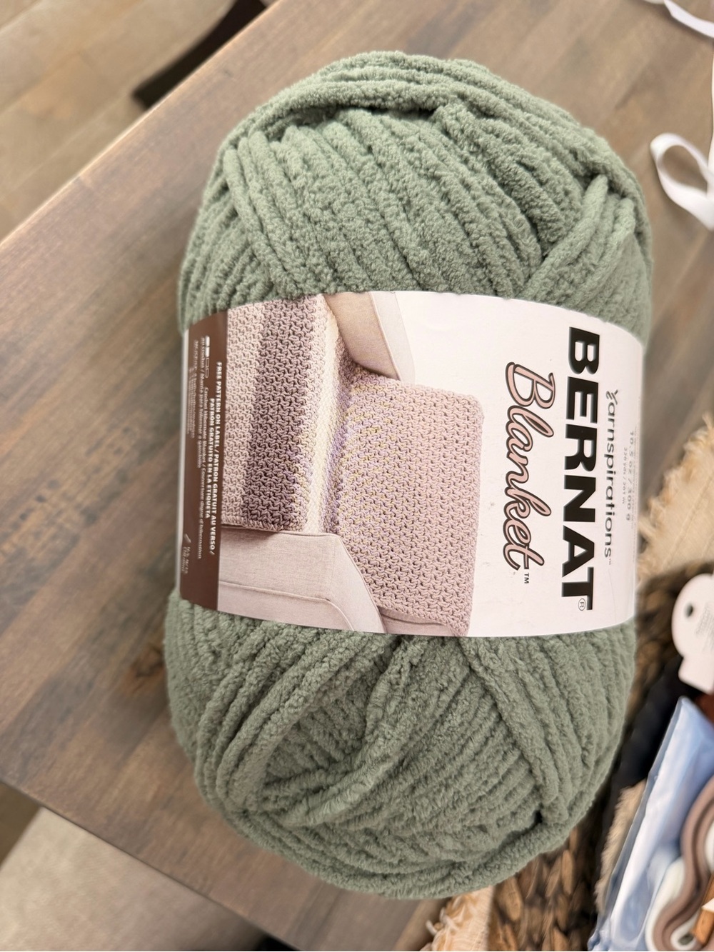 Bernat Blanket Plush Yarn - Smoky Green